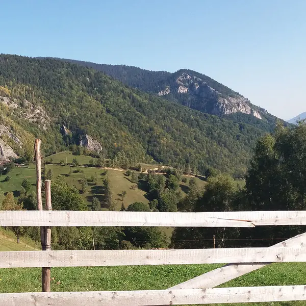 Peștera Walking Tour — Nature, Traditions & Local Flavors